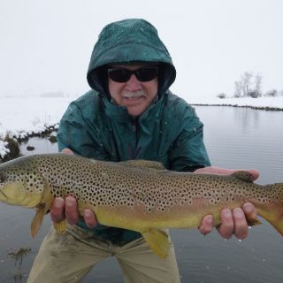 A little snow, a lot of brown from the slough