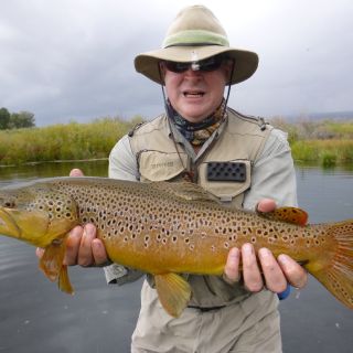 Brown Gold in OZ at Pearce's Spring Creek