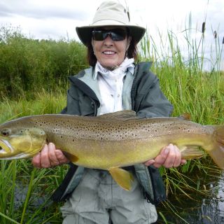 Pearce's Spring Creek-Brown Gold