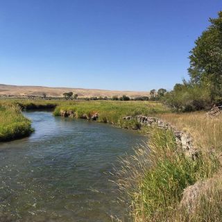 Fly fishing picture