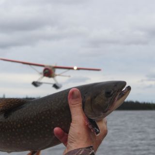 Beaver floatplane &amp; brook trout at Igloo Lake Labrador