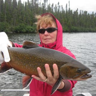 Labrador brook trout - Igloo Lake Lodge
