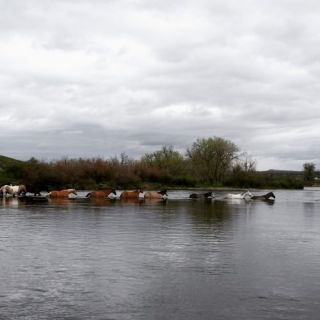 Foto de pesca con mosca