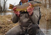 Chris Andersen 's Fly-fishing Photo of a Loch Leven trout German | Fly dreamers 