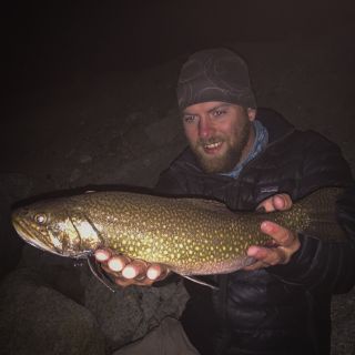Monster lake brook trout , fighting after the sun went down