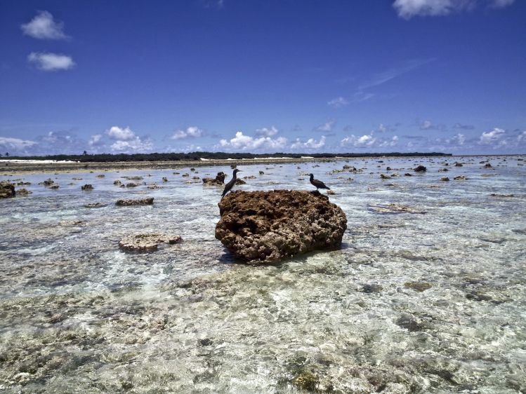 Astove lagoon, Astove, Atoll, Aldabra Islands, Seychelles