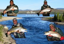 Salmo trutta Fly-fishing Situation – Fernando Rubini shared this Pic in Fly dreamers 
