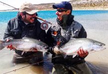 Cool Fly-fishing Situation of Rainbow trout - Picture shared by Pablo Vigil | Fly dreamers