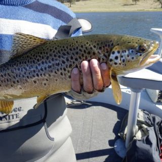 Foto de pesca con mosca