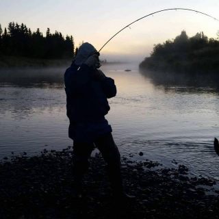 Fly fishing picture