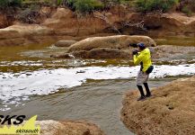 Fly-fishing Pic of Raphiodon vulpinus shared by Mariano Romero | Fly dreamers 