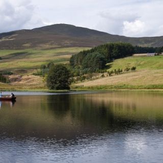 Fly fishing picture