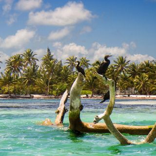 Foto de pesca con mosca