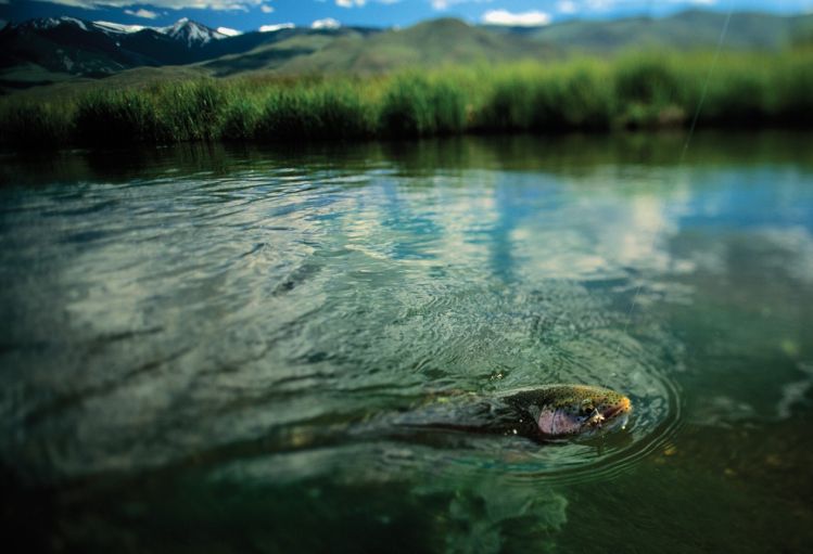 Salmon River, Sun Valley, Idaho, United States