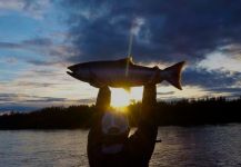 Dream Destinations: Angler's Alibi Alaska