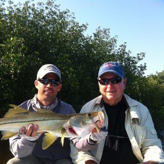 Snook on fly 