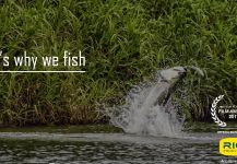 Andrew Luedke 's Fly-fishing Photo of a Tarpon | Fly dreamers 