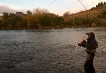 brown trout Fly-fishing Situation – Rodo Radic shared this Cool Image in Fly dreamers 