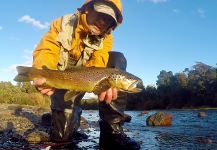 Fly-fishing Photo of Browns shared by Rodo Radic | Fly dreamers 