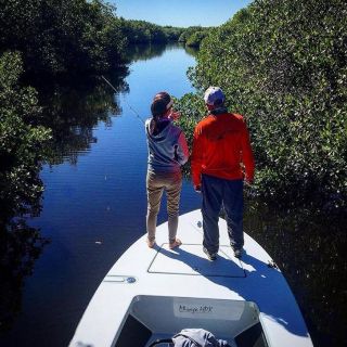 Looking for baby tarpon