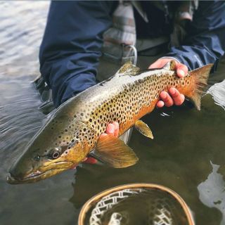 Foto de pesca con mosca