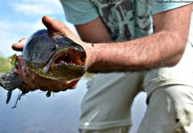 Fly-fishing Art Picture by Mariano Romero 