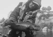 Fly-fishing Photo of Brown trout shared by Rodo Radic | Fly dreamers 