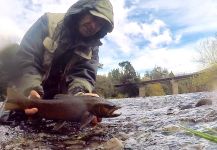 Rodo Radic 's Fly-fishing Image of a Salmo fario | Fly dreamers 