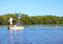 juvenil tarpon, Campeche méxico