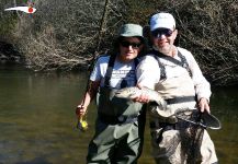 Fly-fishing Photo of European brown trout shared by Madrid Fishing | Fly dreamers 