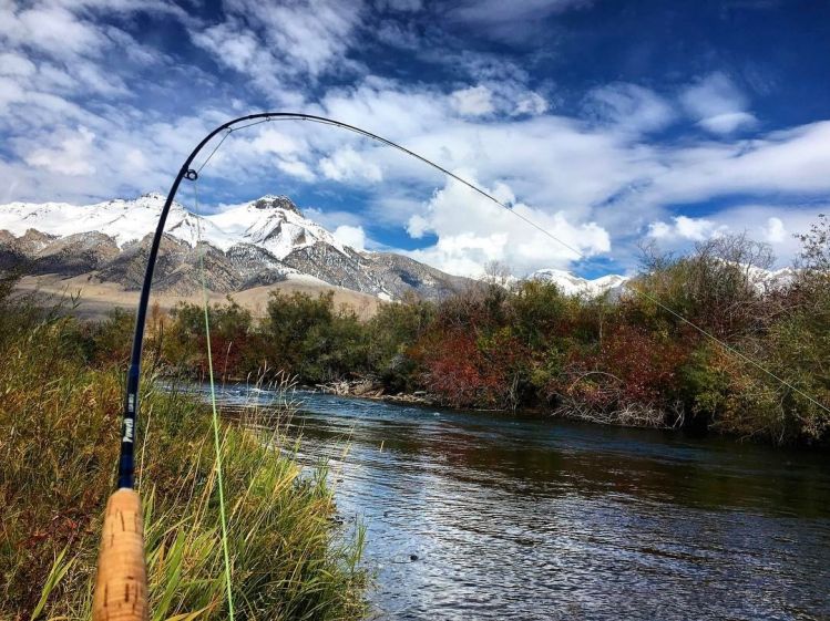 Silver Creek, Sun Valley, Idaho, United States