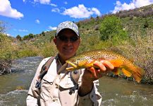 Mark Greer 's Fly-fishing Catch of a Brown trout | Fly dreamers 