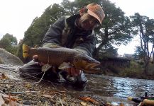 Rodo Radic 's Fly-fishing Catch of a Loch Leven trout German | Fly dreamers 