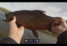 Juan Manuel Biott 's Fly-fishing Photo of a coaster trout | Fly dreamers 