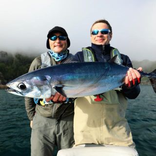 SLENDER TUNA WILL REALLY TEST YOU WITH FLY FISHING GEAR OR LIGHT SPINNING GEAR