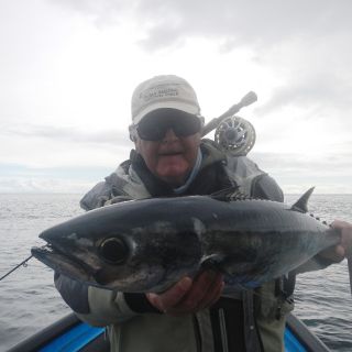 IGFA WORLD RECORD (SUBMITTED) FOR SLENDER TUNA.  FISH HAS BIG BELLY LIKE THE ANGLER