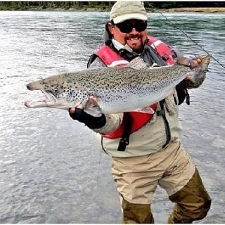 CURRENT IGFA LENGTH (CATCH &amp; RELEASE) WORLD RECORD COHO OR SILVER SALMON IS FROM THE YELCHO RIVER IN 2012
