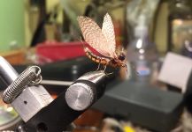 Rodo Radic 's Fly for Rainbow trout - Image | Fly dreamers 