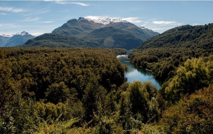 Noticias: El Parque Nacional Los Alerces fue declarado Sitio de Patrimonio Mundial