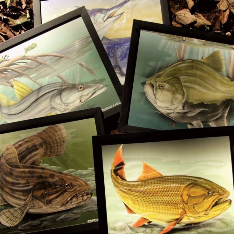 FISH ART... FOR FISHER!!!