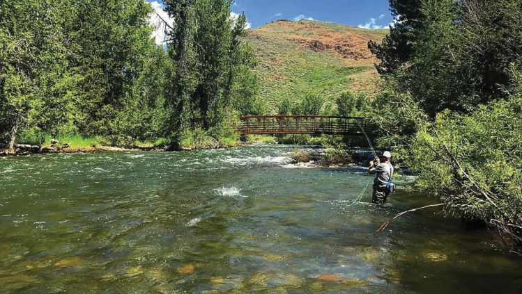 Silver Creek, Ketchum, Idaho, United States