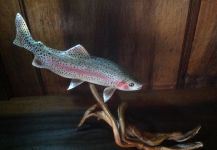 #its_a_wileytrout