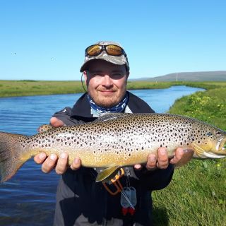 Nice Brown trout from Lónsá