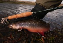 Juan Manuel Biott 's Fly-fishing Photo of a Brookies | Fly dreamers 