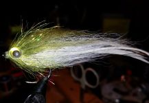  Imagen de atado para Snook - Róbalo por David Bullard | Fly dreamers