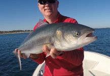 Marc Anderson 's Fly-fishing Image of a Western Australian salmon | Fly dreamers 