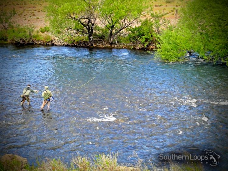 Planning a successful northern Patagonia Argentina fly fishing schedule