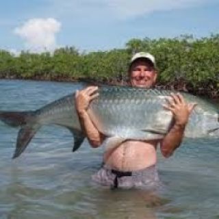 Great time fly fishing for tarpons a