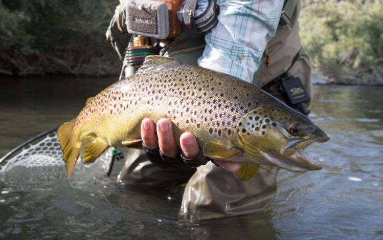 Big Wood River, Ketchum, Idaho, United States