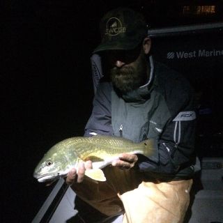 Night fishing around artificial light can be very productive as fish gather to feed.